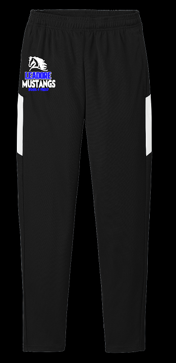 Travel Track Pant
